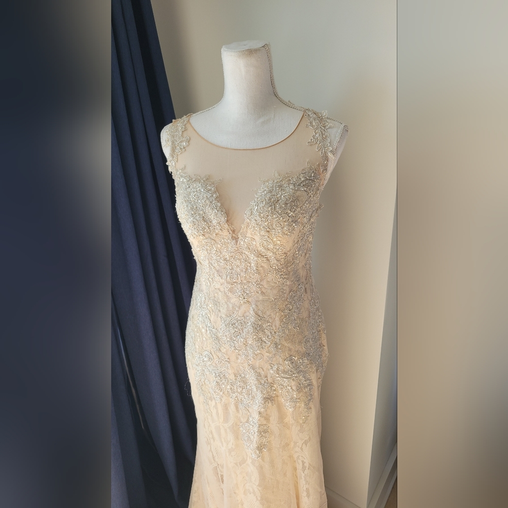 DAVIDS BRIDAL | Champagne Lace Beaded Dress - Picture 14 of 16